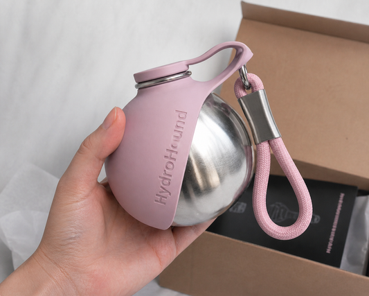 2-in-1 Dog Water Bottle That Makes Walks Easier