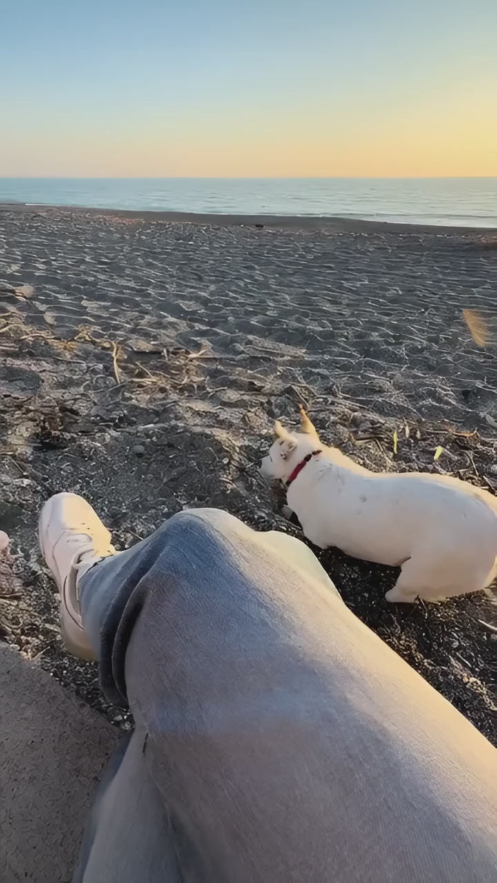 2-in-1 Dog Water Bottle That Makes Walks Easier